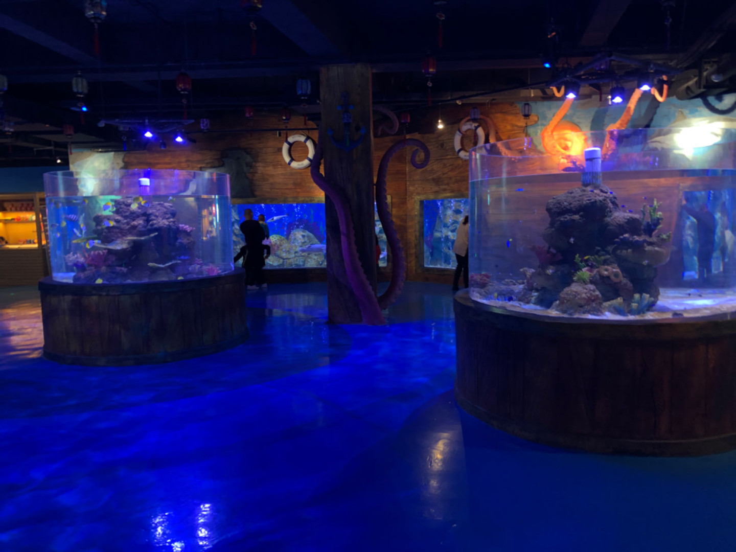 Zavedenie systému podpory života akrylových rýb