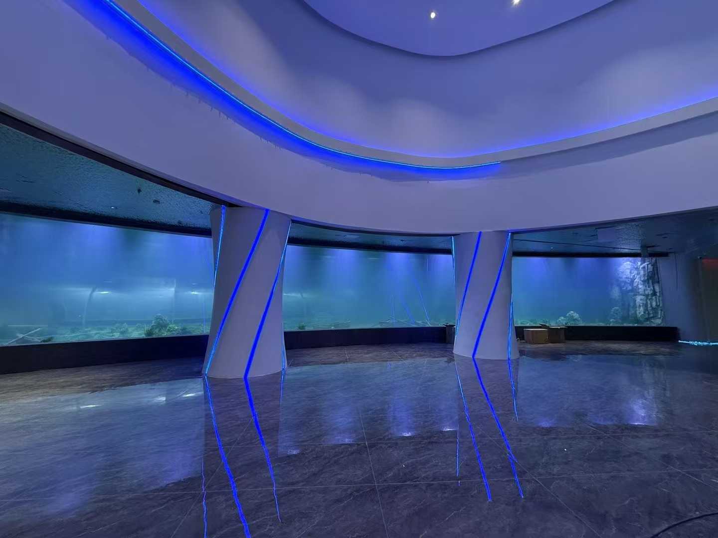 Aké sú výhody akrylového plechu vo veľkých oknách akvária?